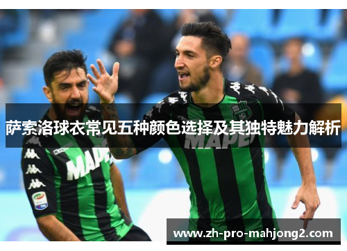 萨索洛球衣常见五种颜色选择及其独特魅力解析 萨索洛球衣常见五种颜色选择及其独特魅力解析