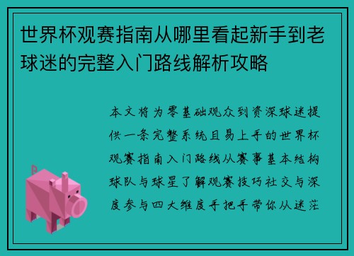 世界杯观赛指南从哪里看起新手到老球迷的完整入门路线解析攻略